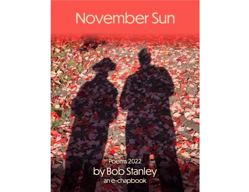 November Sun Cover